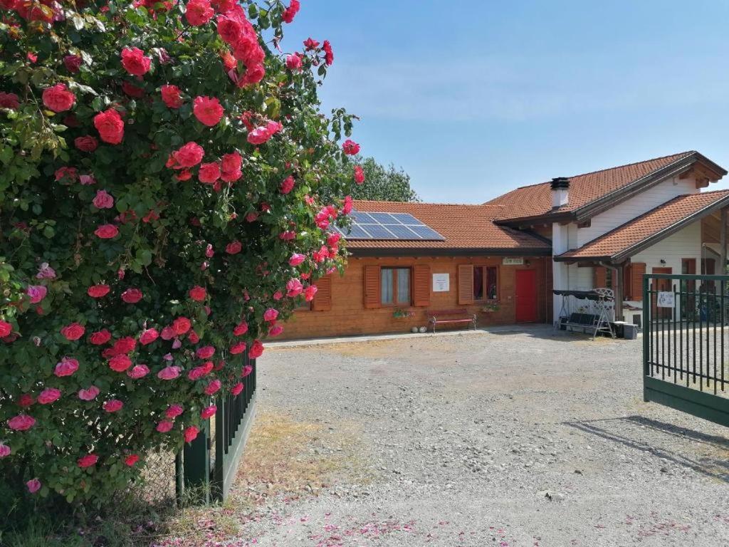 Agriturismo Bio Apipoli Montano Lucino Bagian luar foto